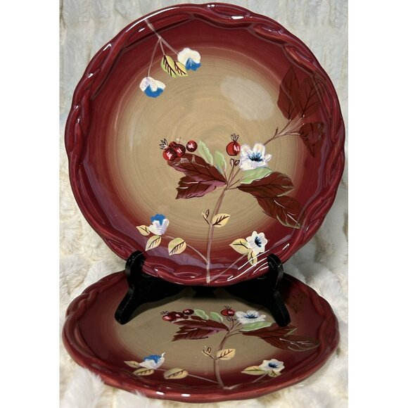 Tracy Porter The Henna Collection 8" Salad Plates 2008-2009 Excellent Condition - Picture 1 of 12